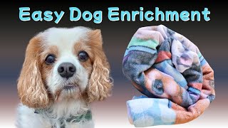 Easy Dog Enrichment for Senior Dogs and Cavaliers: Towel Sniffing Game Idea