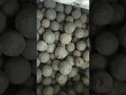 Third party manufacturering of Amla juice and extract