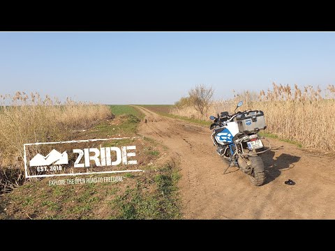 OFF41 DNCB - Pițigaia