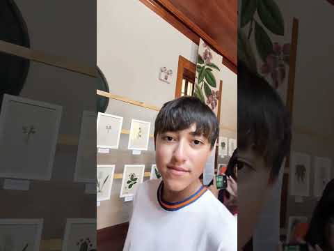 VISITA A LA CASA BASADRE - TACNA '26 #parati #viral #tacna #laheroica