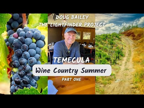 Uma viagem divertida e íntima pela região vinícola de Temecula