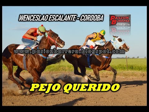 Pejo Querido, Wenceslao Escalante (14-10-18)