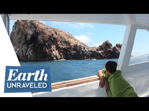 😱The Dangers of Scuba Diving Gordon's Rock in the Galapagos 🇪🇨Santa Cruz Island Ecuador