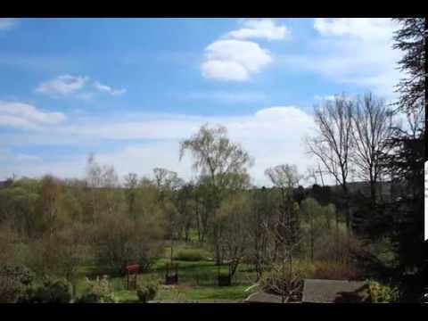 Garten Zeitraffer Garden Timelaps