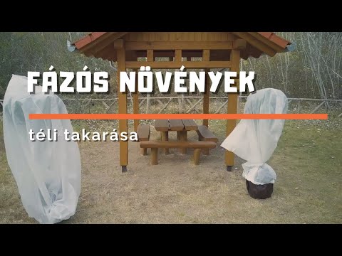Téli növénytakarás - Fagyérzékeny növények téli védelme