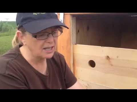 Build A Vermicompost Bin