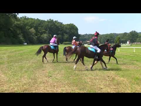 Dostihy Netolice 10. 8. 2025 - Pony liga 2025 s CK Martin Tour - 2. oddělení