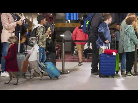 Shortcut | Compare the Market