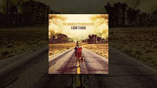 The Infamous Stringdusters - I Didn't Know
