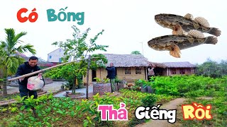 Chế Xong Gầu Múc Nước Và Đôi Cá Bống Siêu To Chờ Thả Giếng / Quế Nghịch