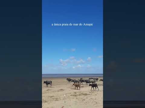 A ÚNICA PRAIA DE MAR DO AMAPÁ