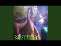 Migraine - 232 - Root System 00_33_59 to 00_43_17
