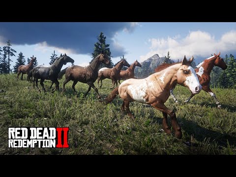 Migração de Cavalos Selvagens - Red Dead Redemption 2