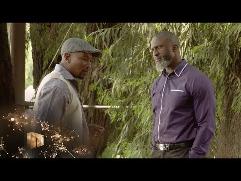 Two bulls in a kraal – Isibaya | Mzansi Magic