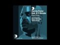 Dennis Ferrer Feat. K.T.Brooks - Run Free