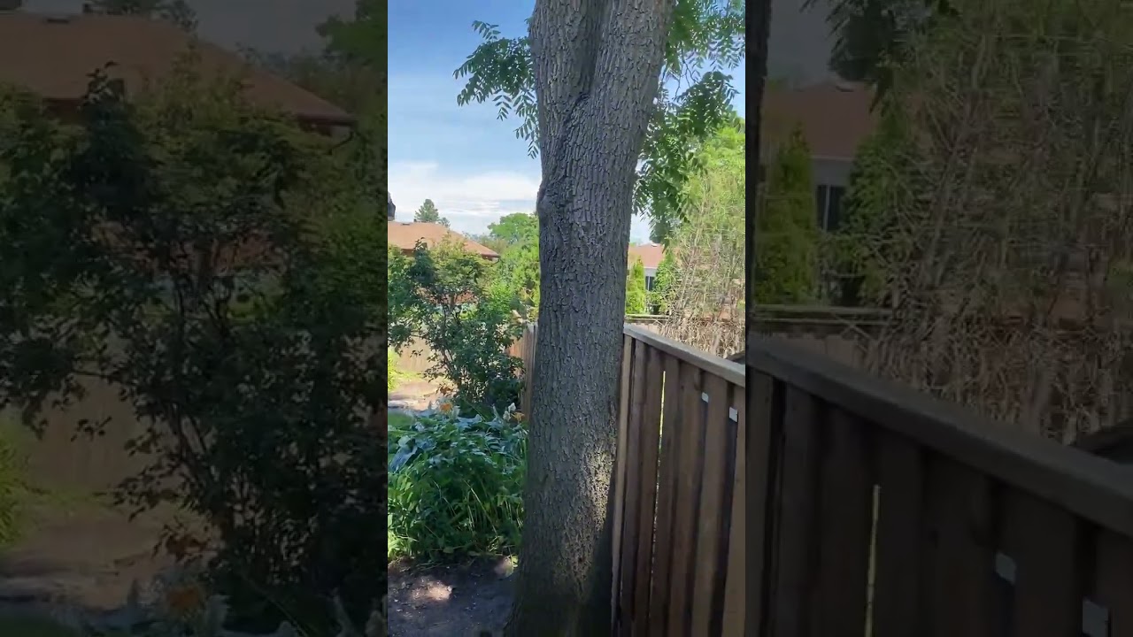 External video