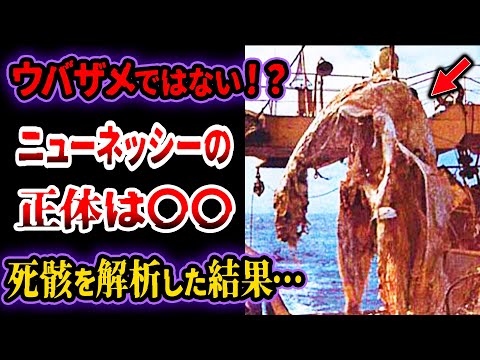 セトリヌス・マクシムス