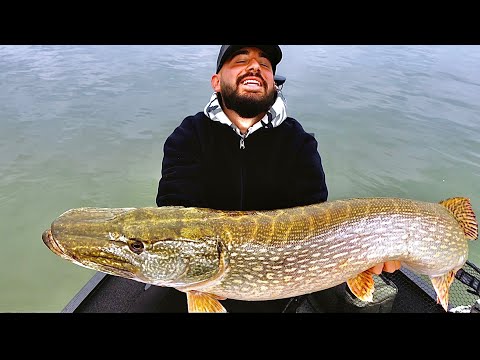 PB-pike, XXL-perch and big zander without end!
