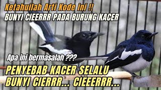 Download lagu FIND OUT THE MEANING OF THIS MUSHROOMS SOUND!! WHY MUSHROOMS ALWAYS SOUND CIER-CIER mp3