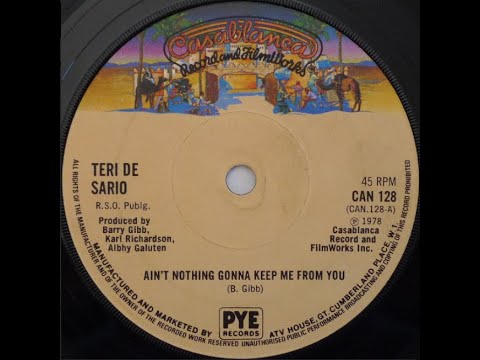 Teri DeSario...Ain't Nothin' Gonna Keep Me From You...Extended Mix...