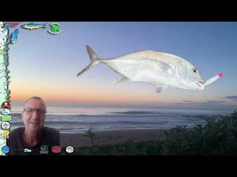 Buster SW KZN South Coast 7 March 2026 and Other Fishy Stories by The Sardine News #sardinerun2026