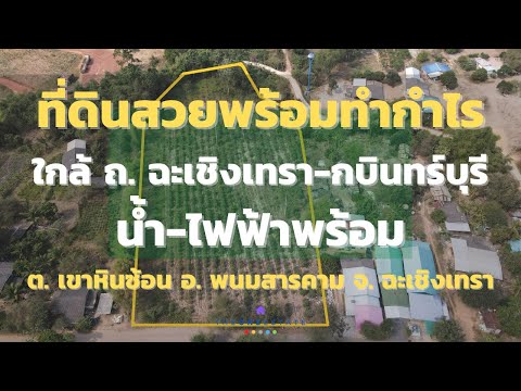 📣 Beautiful land ready to make a profit, better than depositing in the bank, planting eucalyptus trees, 2 stumps, growing, ready to harvest, near Chachoengsao-Kabinburi Rd. Water and electricity are accessible. Convenient travel in and out of Phanom Sarak – รูปที่ 2