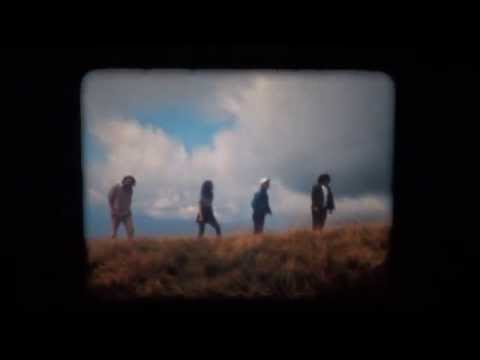 The Pussywarmers and Réka - "SUNRISE" (Official Video)