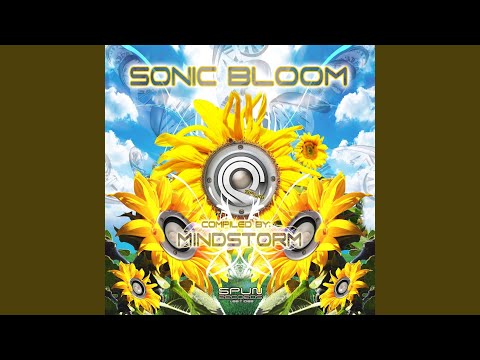 Goan Mad (Cortex vs Brainbokka Groovers RMX)