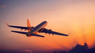 Silver wings shinning in the sunlight