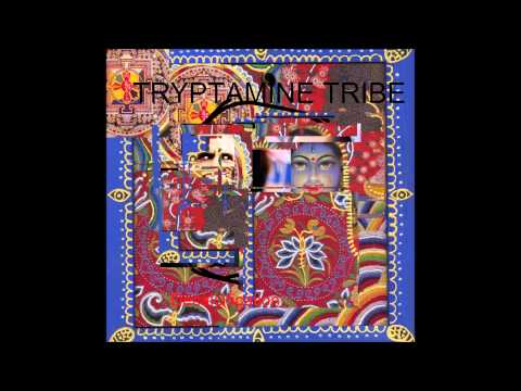 Tryptamine Tribe(TtT)-- Decalcification EP(FULL ALBUM)