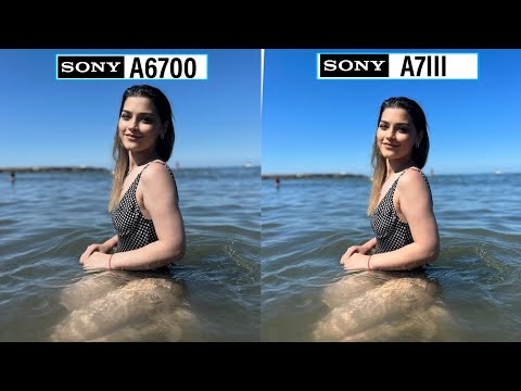 Sony A6700 Vs Sony A7III Camera Test Comparison Night Low light