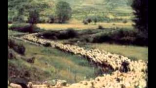 Ya se van los pastores