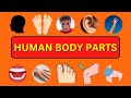 Learn Body Parts In English | Body Parts Name | Parts Of The Body | #knowledge #quiz #education #gk