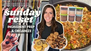 Sunday RESET | Ingredient/Meal Prep, Organize | Staying on Track | Bagels, Fried Rice, Pancake Bites
