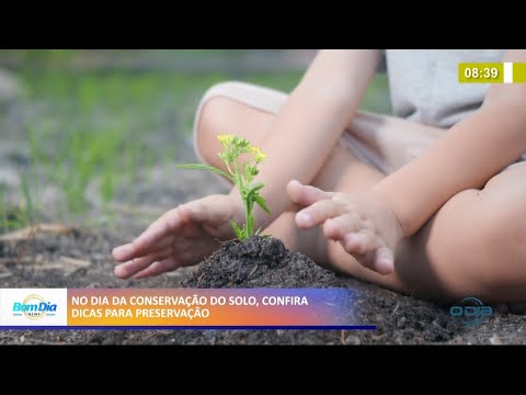 No Dia da Conservação do Solo, confira dicas para preservação 15 04 2021