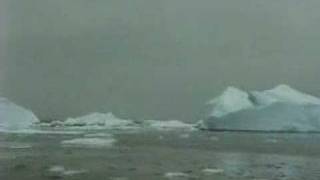 The Bled - Antarctica