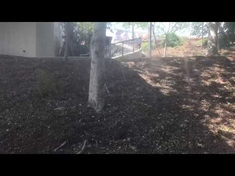 LOVELY Mitsubishi/MCE Hydraulic Scenic Elevator @ USC Exposition Park Garage, Los Angeles, CA