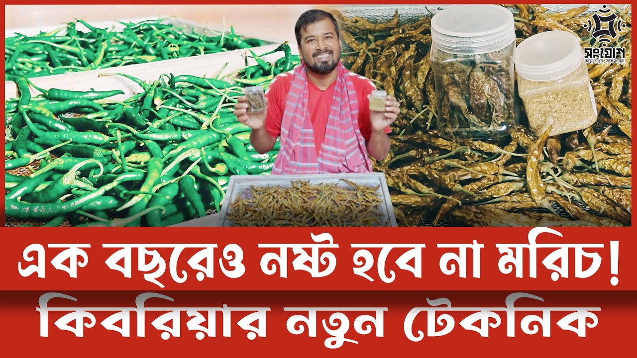 সারা বছর কাঁচা মরিচ সতেজ রাখার দারুণ টেকনিক!