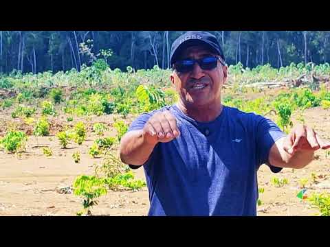 EM JURUTI, ATERRO SANITÁRIO AINDA NÃO SAIU DO PAPEL E PREOCUPA A POPULAÇÃO E AUTORIDADES