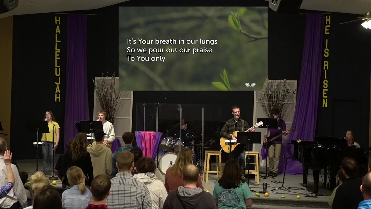 HIStory (John 15, Vine and Branches))