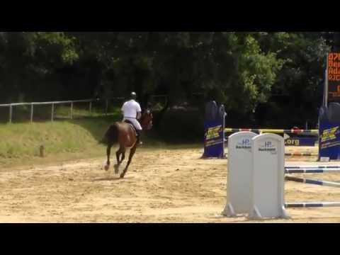 Contendro/Diamant de Semilly 5j 3. Show