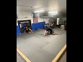 Always Fun Rolling With Friends