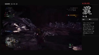 暇潰しモンスターハンター
