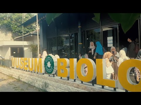 Green Peacock "Pavo muticus" - Museum Biology