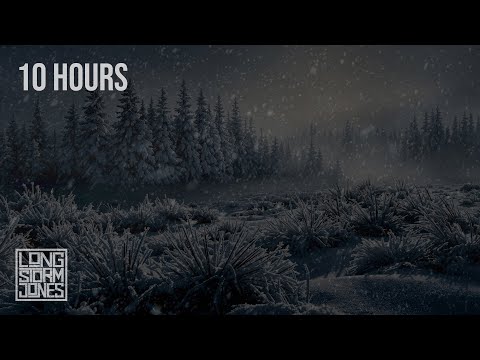 Whispering Pines | Gentle Winter Wind Through the Forest | RELAX | STUDY | SLEEP | 10 HOURS