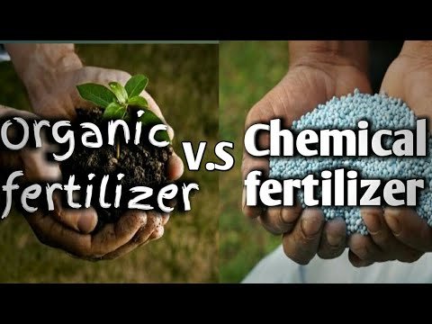 Difference between organic fertilizer and chemical fertilize...