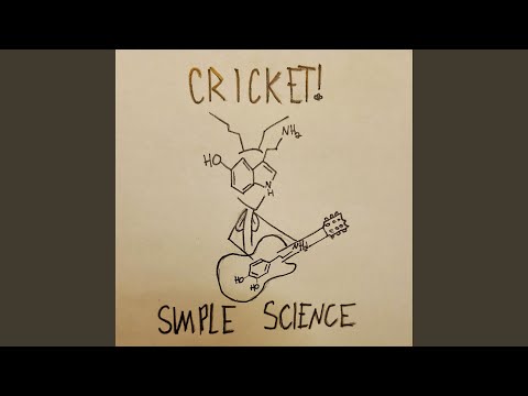 Simple Science - Cricket!