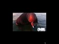 Badlands chugs the ocean
