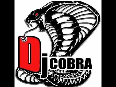 DJ cobra fechando 2013  intimato pra Gds prt.trapassa pvs tornado pvs e abeka cabuloso.