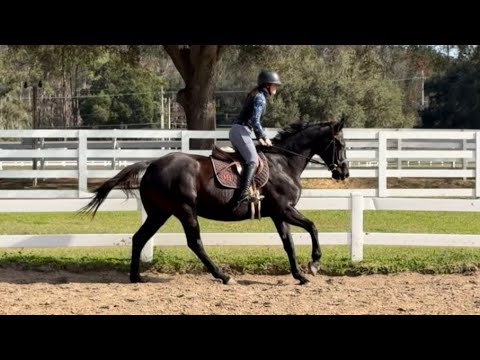 Olita ESH - Flat January 2026